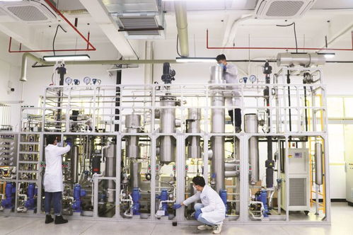 4家代表性省級重點實驗室及新型研發機構聚力創新研發 賦能惠州做強 2 1 現代產業集群