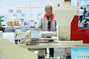 抓好行業(yè)標準 研發(fā)新型基質(zhì)為黑木耳產(chǎn)業(yè)化發(fā)展提速 中國食品報網(wǎng)