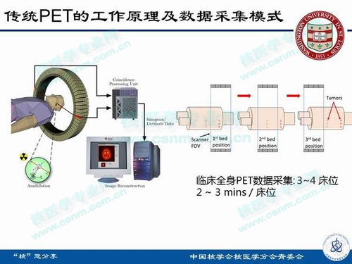 華盛頓大學醫學院新型pet系統的研發