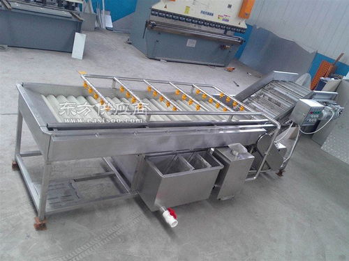 深圳葡萄清洗機 諸城順澤機械 葡萄清洗機圖片